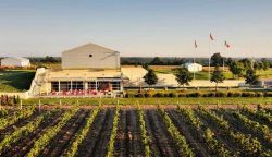 



Huff Estates Winery



.